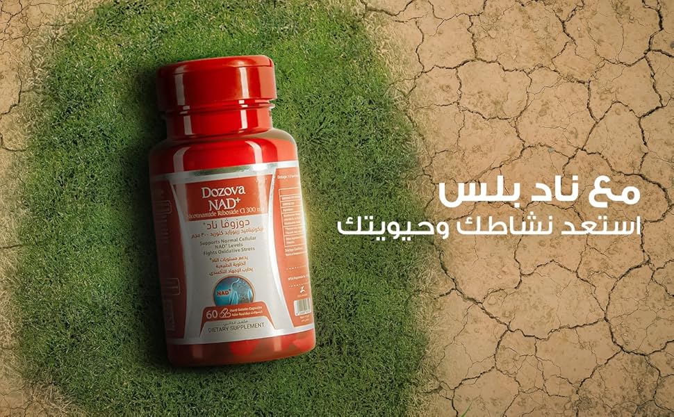 Dozova NAD+ 60 Hard Gelatin Capsules - DAWAK pharmacy